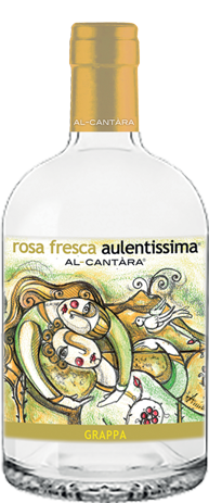 Rosa Fresca